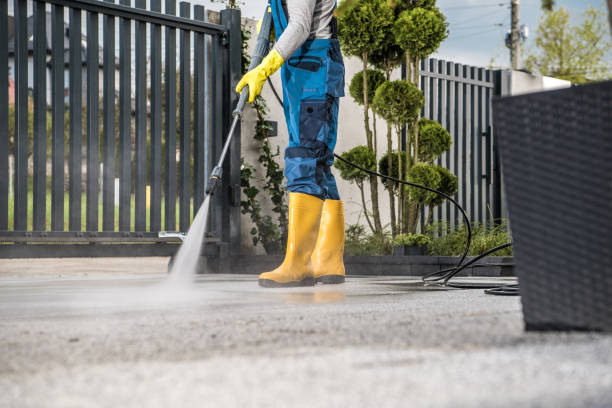 Best Roof Washing  in Olton, TX